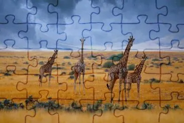 paisajes jigsaw puzzle