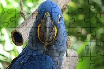 paisajes jigsaw puzzle