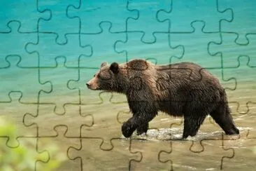 paisajes jigsaw puzzle