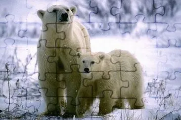 paisajes jigsaw puzzle