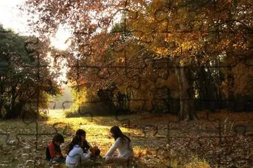 En el parque. Mendoza. Argentina