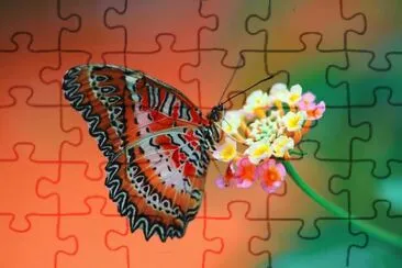 Mariposa jigsaw puzzle