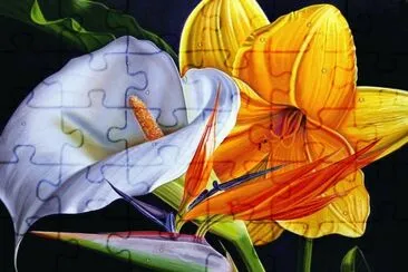 Tropical Flowers jigsaw puzzle