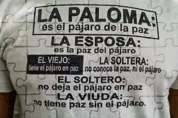 El pÃ¡jaro