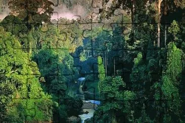 Amazonia jigsaw puzzle