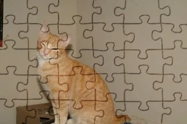 Mel jigsaw puzzle