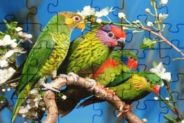 pajaros jigsaw puzzle