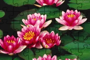 flores jigsaw puzzle