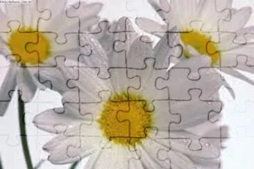 flores jigsaw puzzle