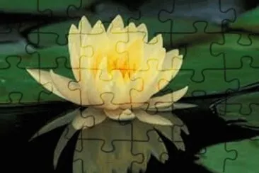 flores jigsaw puzzle