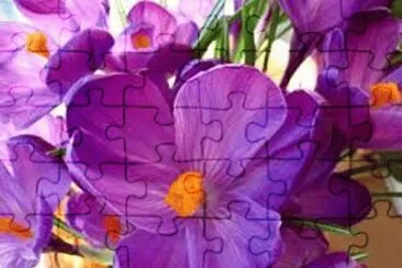 flores jigsaw puzzle