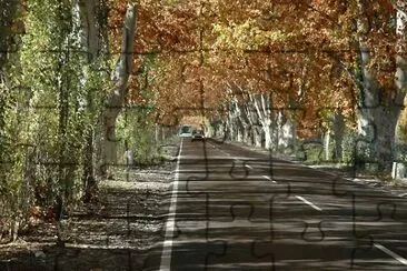 Por las rutas de Mendoza. Argentina