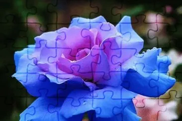 campo jigsaw puzzle