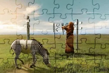 campo jigsaw puzzle