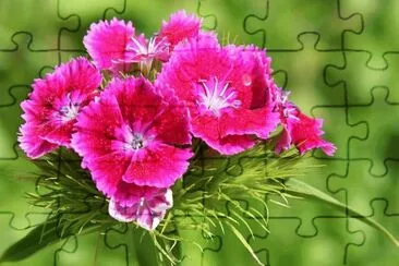 paisajes jigsaw puzzle