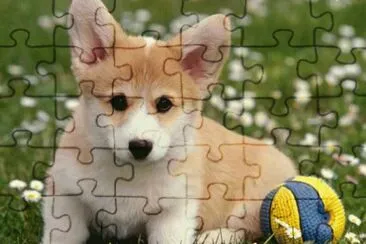 animales jigsaw puzzle