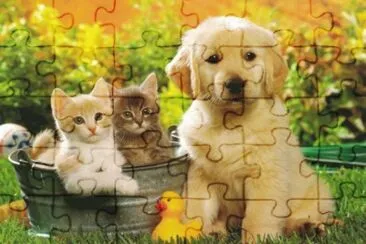 animales jigsaw puzzle