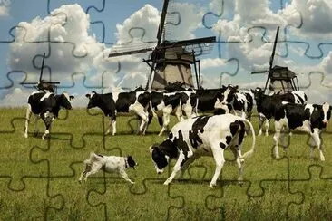 animales jigsaw puzzle