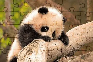 animales jigsaw puzzle