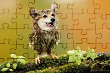 animales jigsaw puzzle