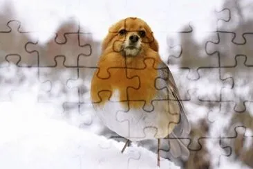 animales jigsaw puzzle