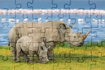 animales jigsaw puzzle