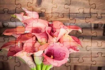 Copo de Leite jigsaw puzzle