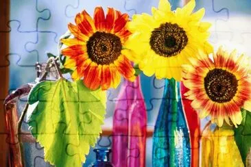 girasoles jigsaw puzzle