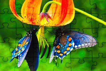 pareja de mariposas jigsaw puzzle