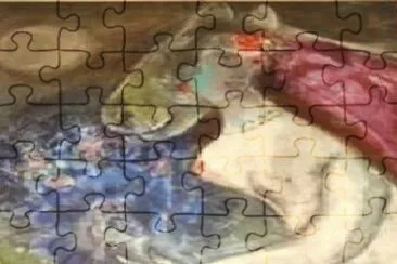 282 jigsaw puzzle