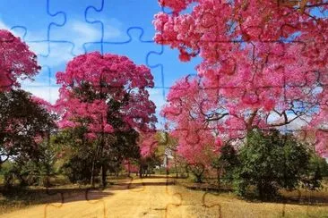 Piuva Roxa ou Ipe Roxo jigsaw puzzle