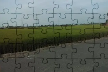  jigsaw puzzle