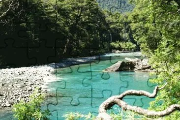 PN Los Alerces. Chubut. Argentina