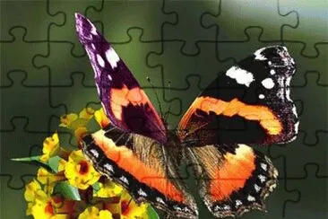 33 jigsaw puzzle