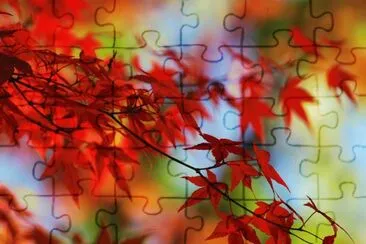 00 jigsaw puzzle