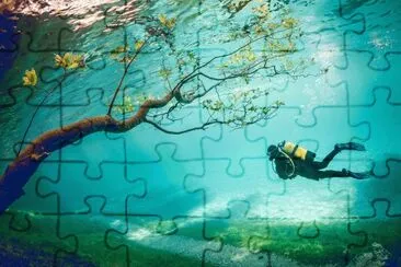 fantasy jigsaw puzzle