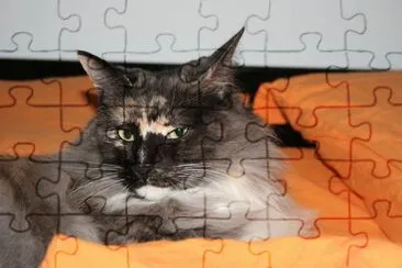 Brigitte jigsaw puzzle