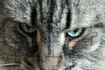 Assia 's eyes jigsaw puzzle