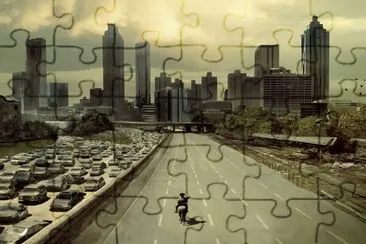 TWD jigsaw puzzle