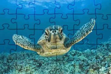 Hawaii jigsaw puzzle