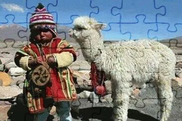 NiÃ±o y llama, altiplano jigsaw puzzle