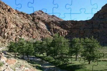 Valle de Altay. Mongolia jigsaw puzzle