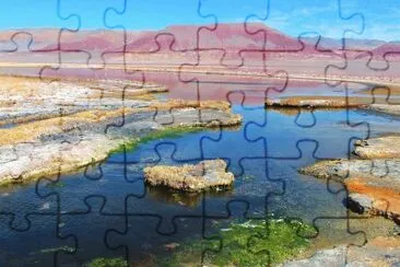 Laguna Carachi Pampa. Catamarca. Argentina jigsaw puzzle