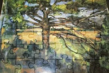 315 jigsaw puzzle