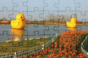 views jigsaw puzzle