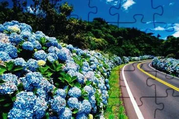 פאזל של Carretera y flores