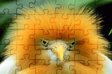 . jigsaw puzzle