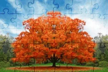 foto jigsaw puzzle