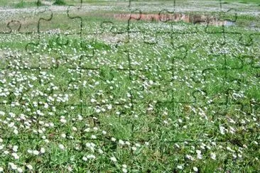 dettaglio del Parco Ombrone