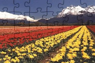 Trevelin. Chubut. Argentina jigsaw puzzle